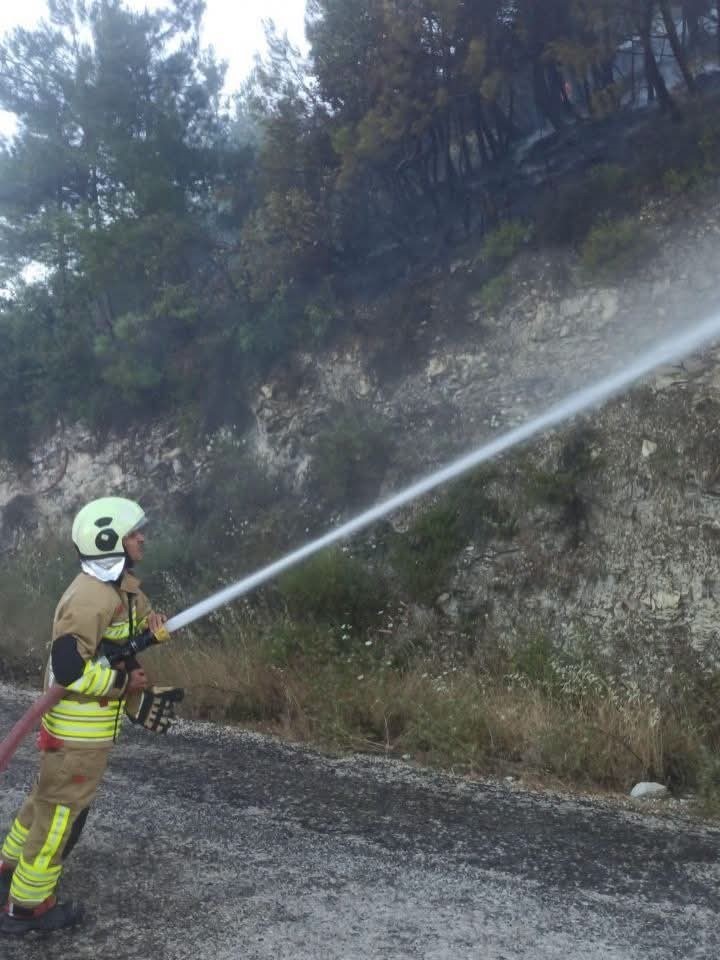 Yayladağı&rsquo;nda ormanlık alanda &ccedil;ıkan yangın kontrol altına alındı
