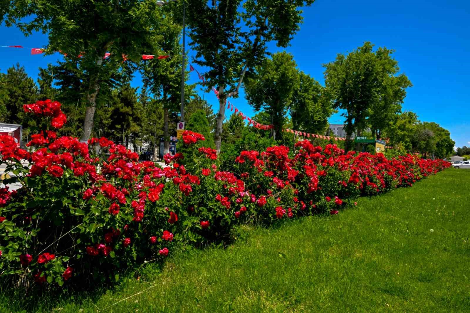 Malatya&rsquo;da park ve kavşaklar &ccedil;i&ccedil;eklerle s&uuml;slendi