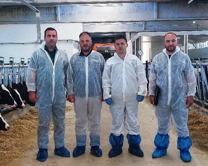 Hisarcık&rsquo;ta ilk hastalıktan ari b&uuml;y&uuml;kbaş işletmesi i&ccedil;in &ouml;nemli adım