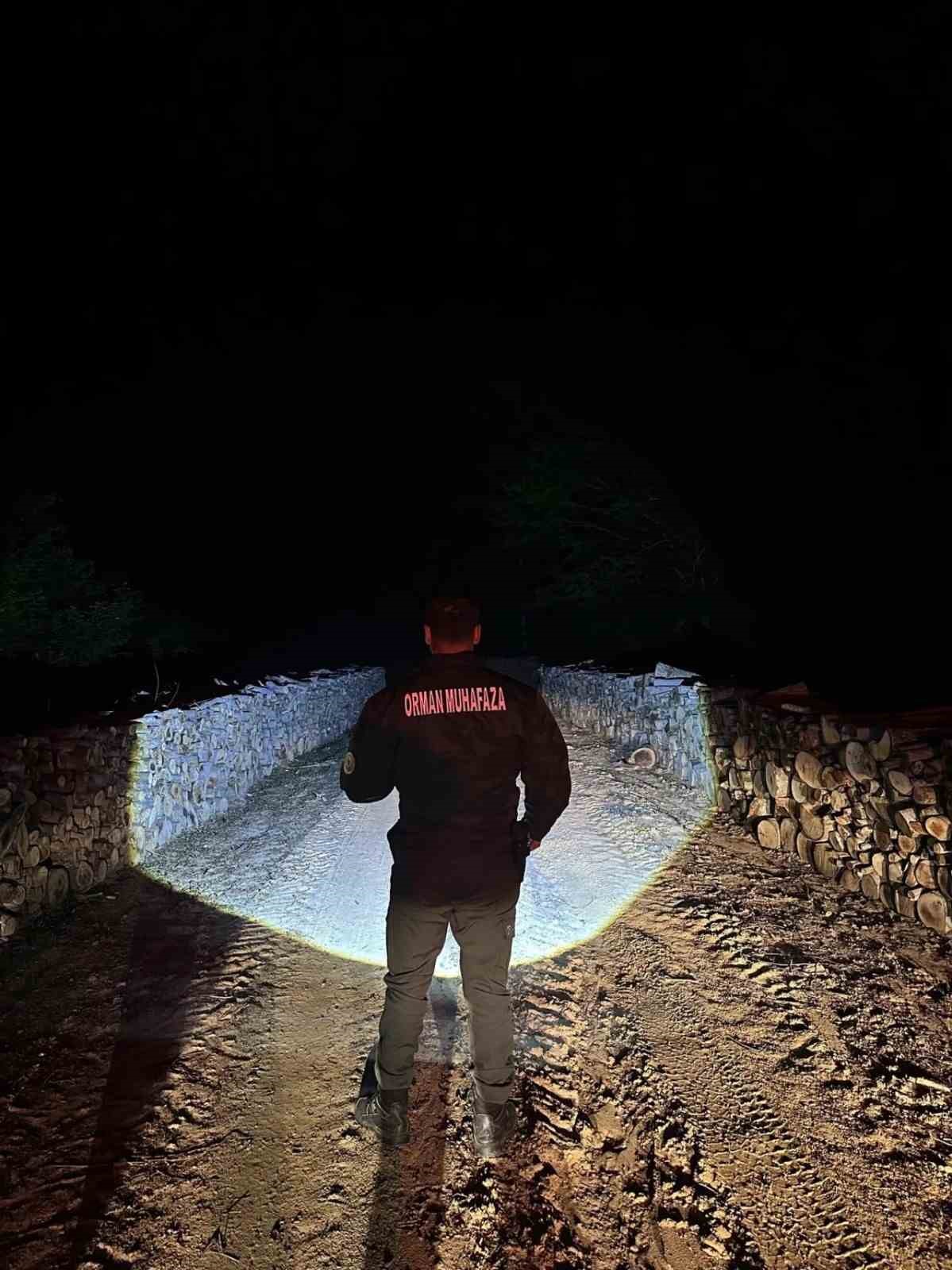 Sinop ormanları gece-g&uuml;nd&uuml;z koruma altında