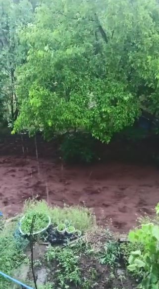 Artvin&rsquo;de sağanak sonrası dereler taştı