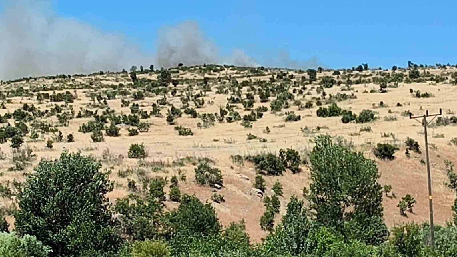 Dicle&rsquo;de ağa&ccedil;lık alanda yangın