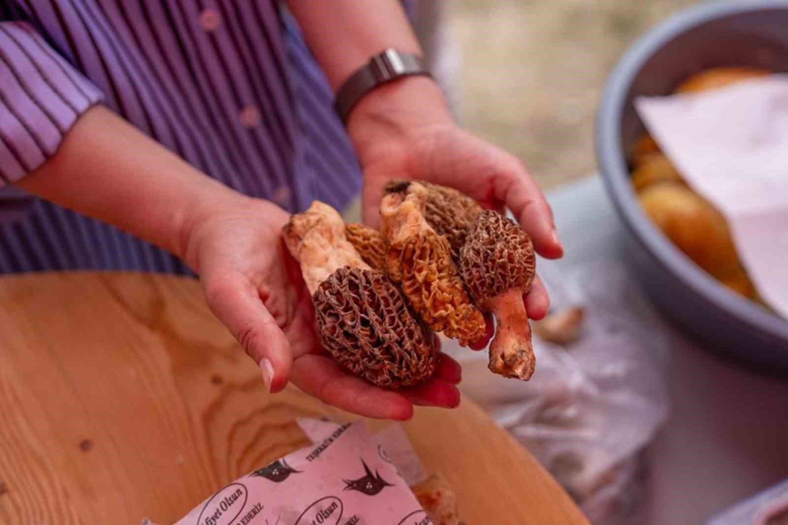Yemişendere&rsquo;de 1. Kuzug&ouml;beği Festivali