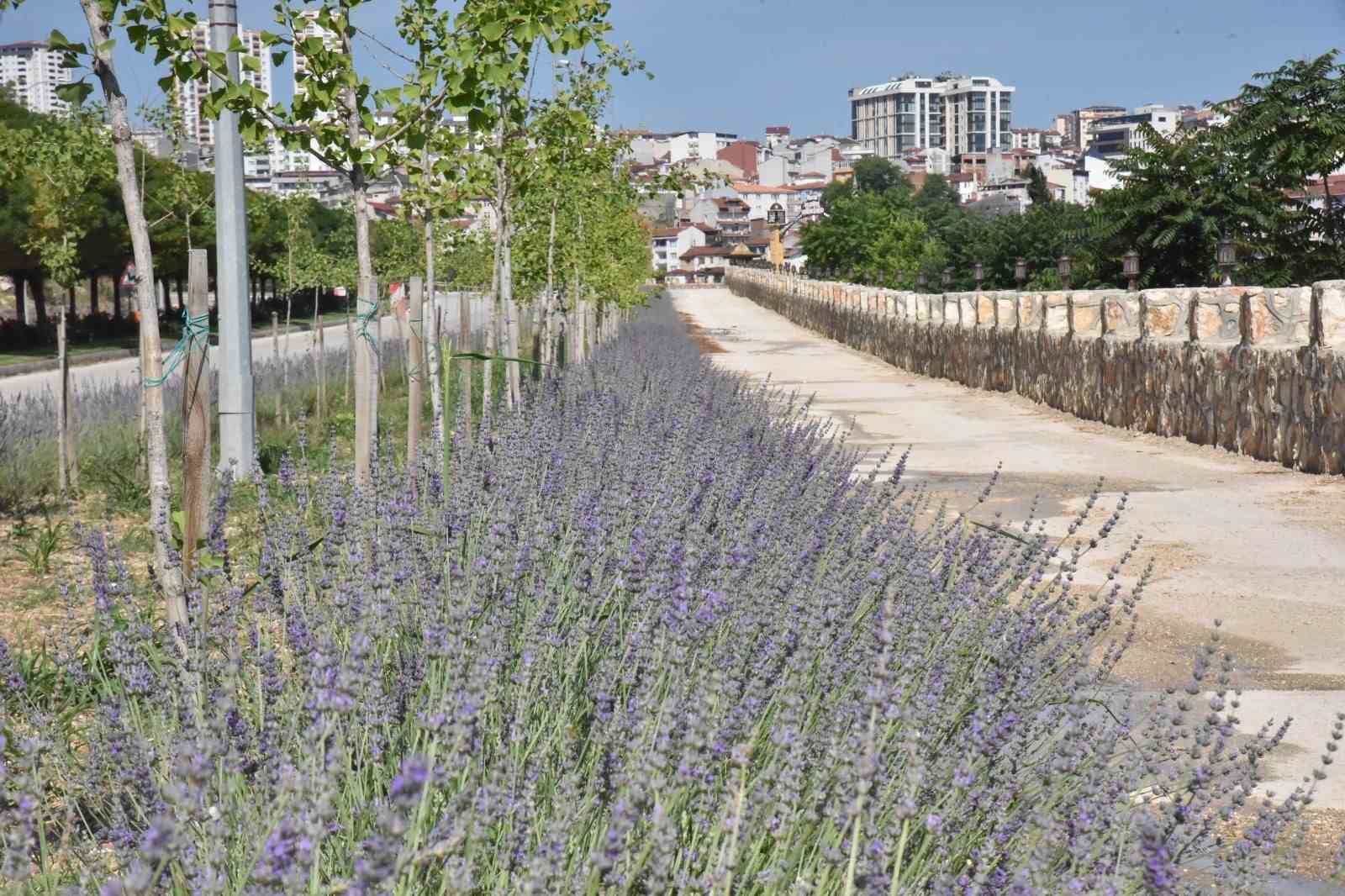 60 &uuml;lkeden 381 proje arasında Bilecik ve İstanbul yer aldı