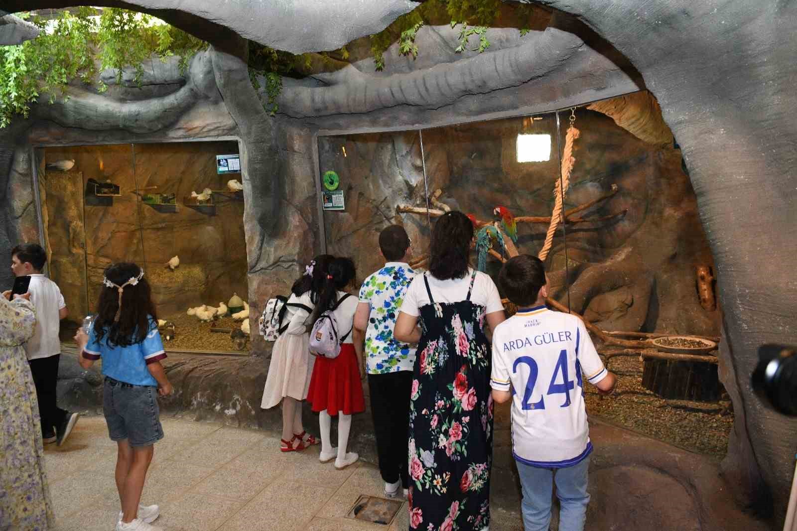 Trabzon&rsquo;da kuş parkı ilgi &ccedil;ekiyor