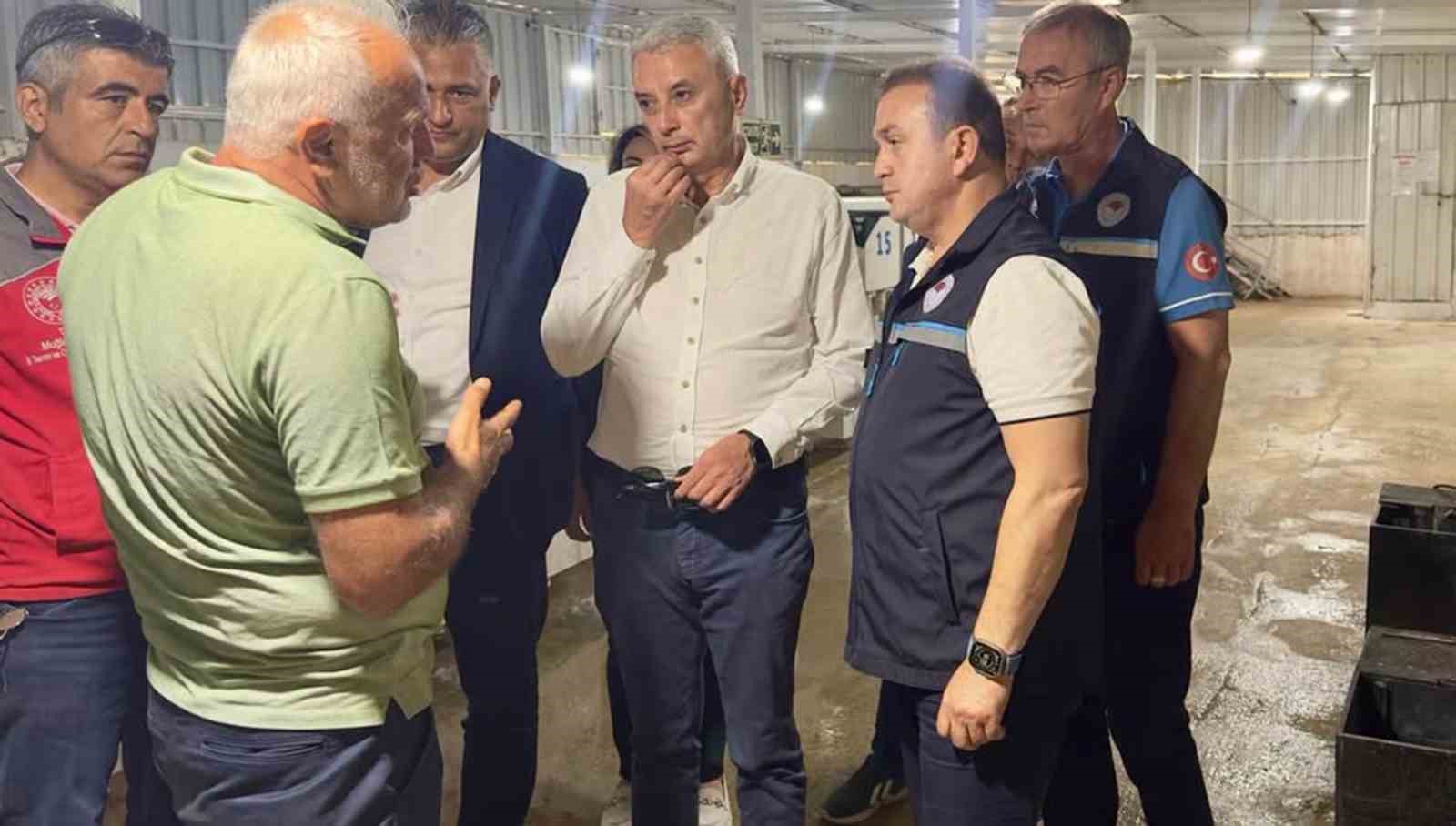 Eşen Havzası&rsquo;ndaki Alabalık tesislerinde sekt&ouml;r değerlendirmesi