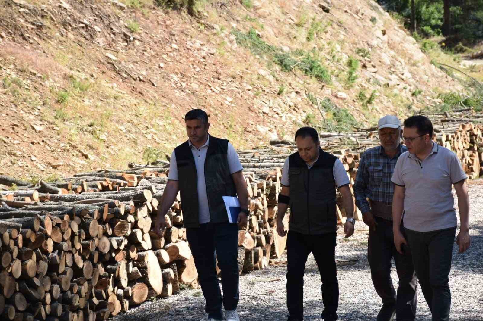 Kahramanmaraş&rsquo;ta yangın riskine karşı yol kenarlarında temizlik ve bakım