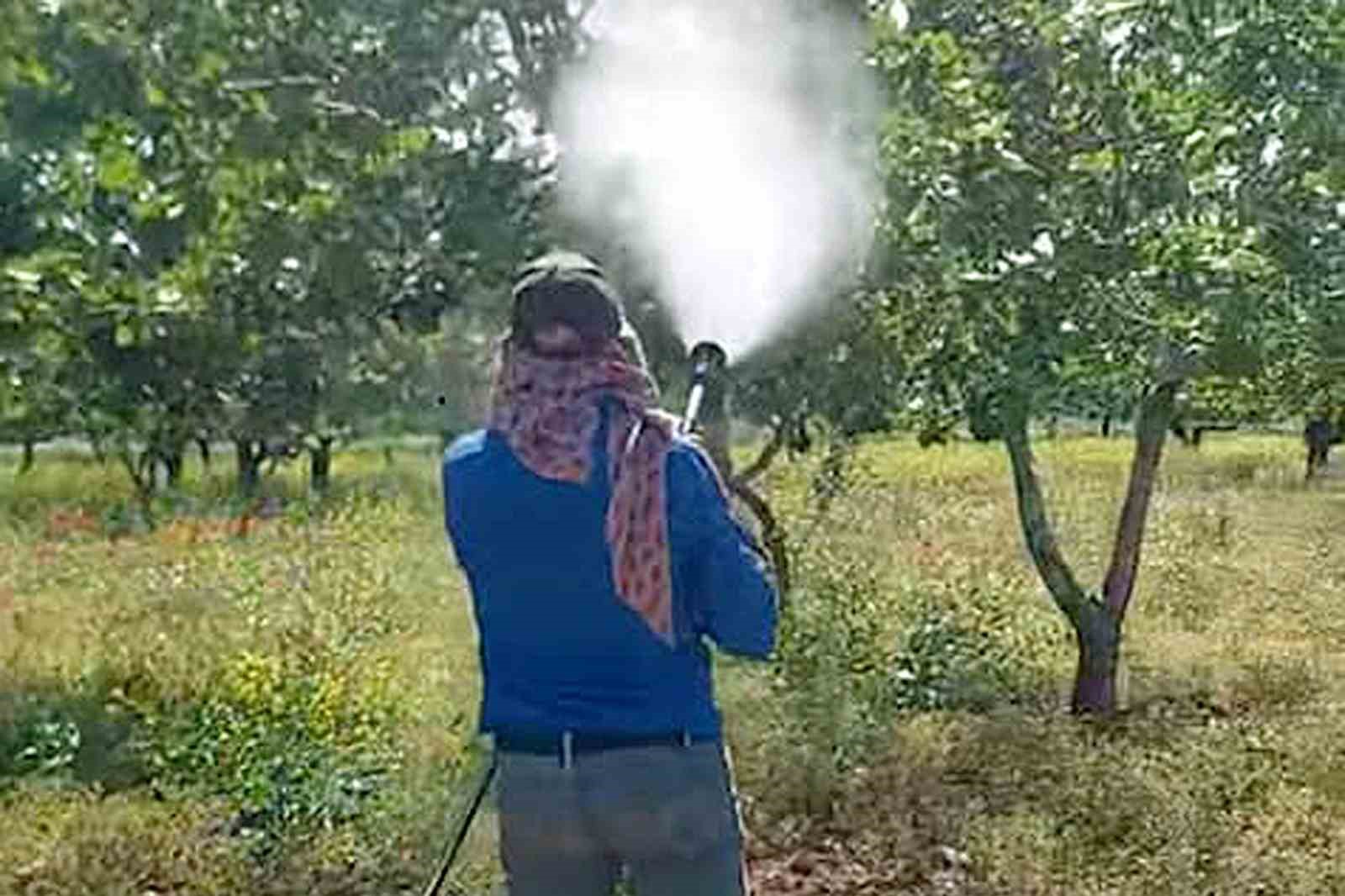 Araban’da Antepfıstığı üreticileri hastalıklar ve zararlılarla mücadele başlattı
