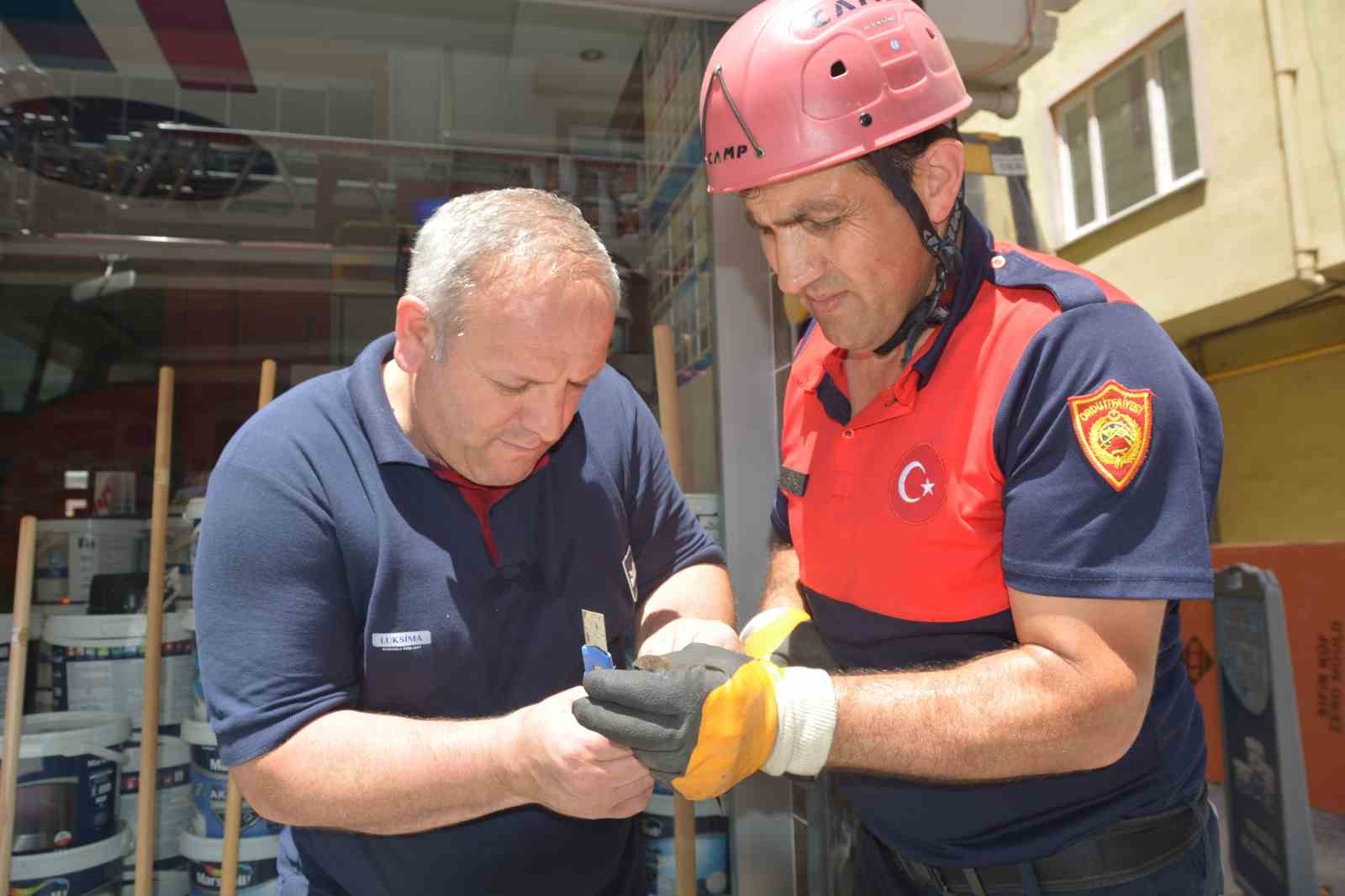 Ordu&rsquo;da itfaiye ekipleri, ebabil kuşu i&ccedil;in seferber oldu