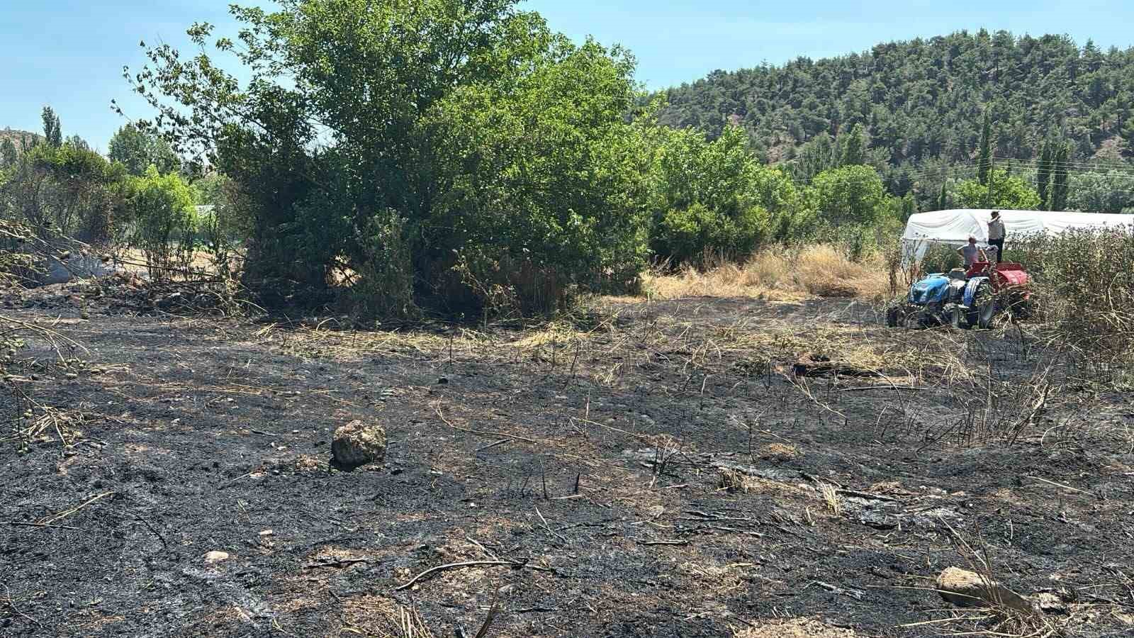 Bilecik&rsquo;te otluk alanda yangın &ccedil;ıktı