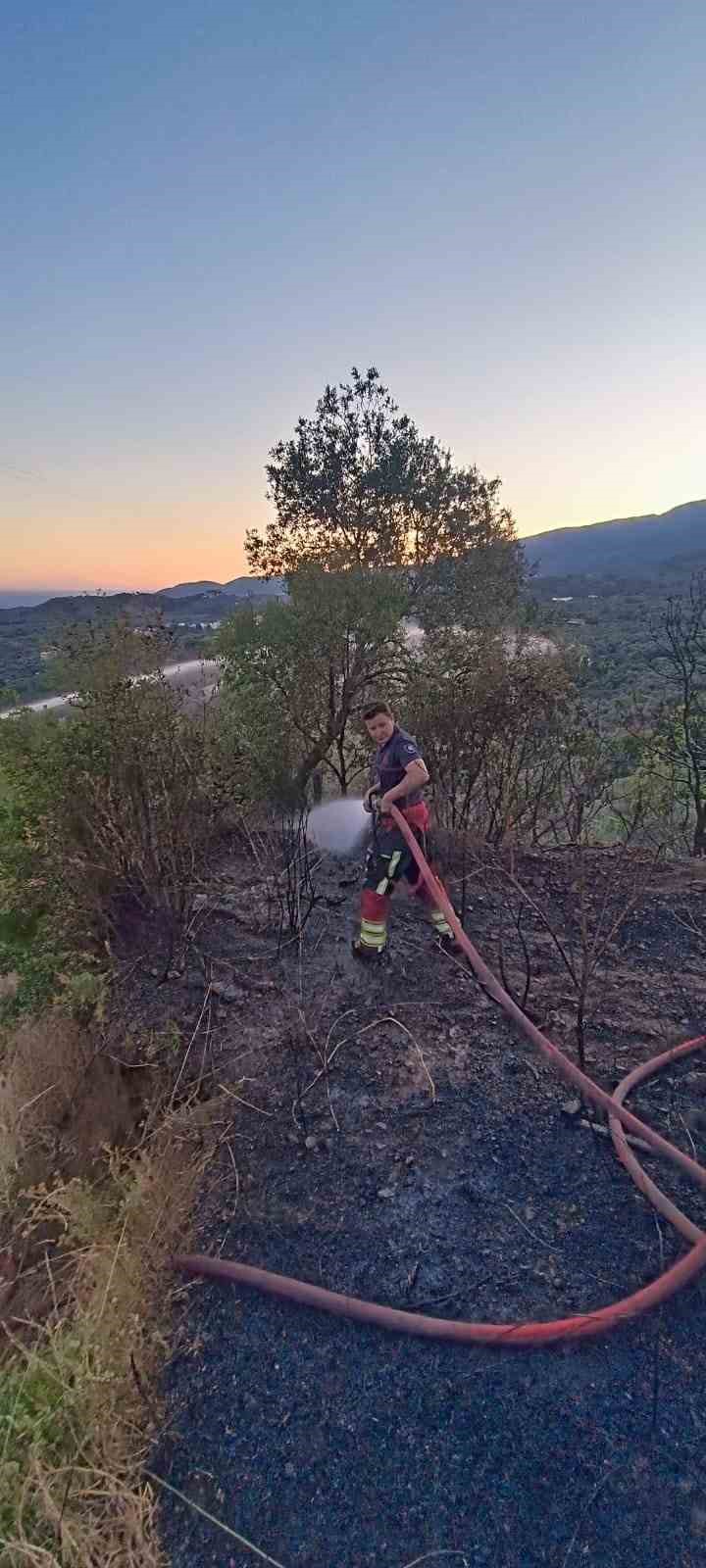 &Ccedil;amlıbel de ot yangını korkuttu