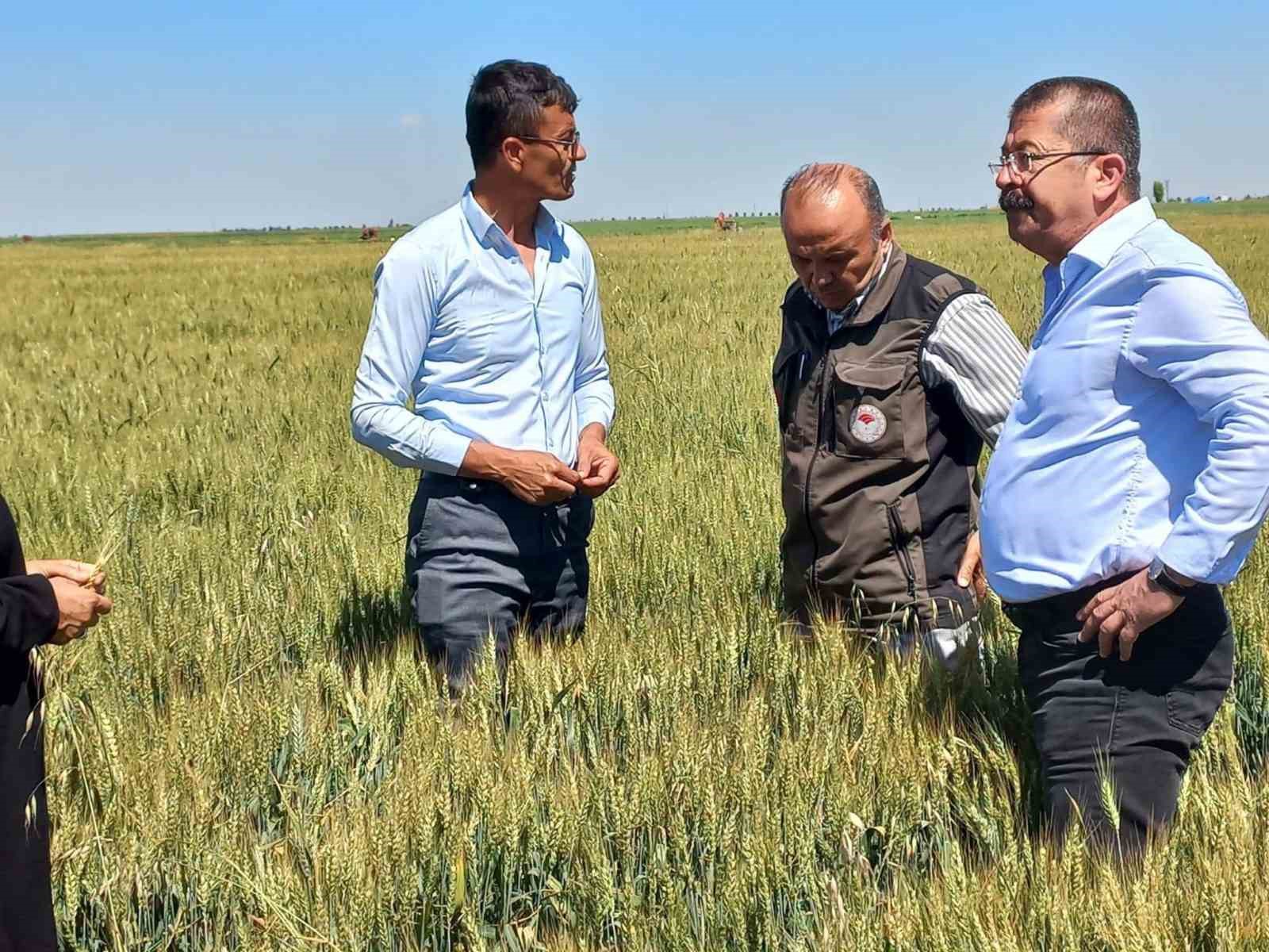 Karapınar&rsquo;da dolu afetinin etkilediği alanlarda inceleme