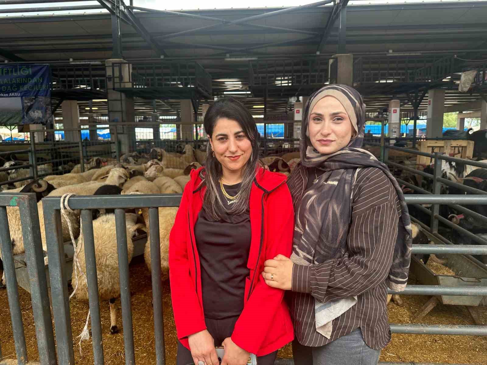 İki gen&ccedil; kuzen celep, Bursa&rsquo;daki kurban pazarında rekabeti artırdı