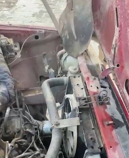 Tokat’ta aracın motor kısmına giren yılanı itfaiye ekipleri kürekle yakaladı