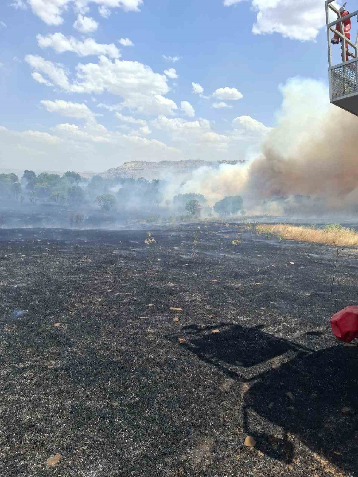 Diyarbakır&rsquo;ın beş il&ccedil;esinde yangın