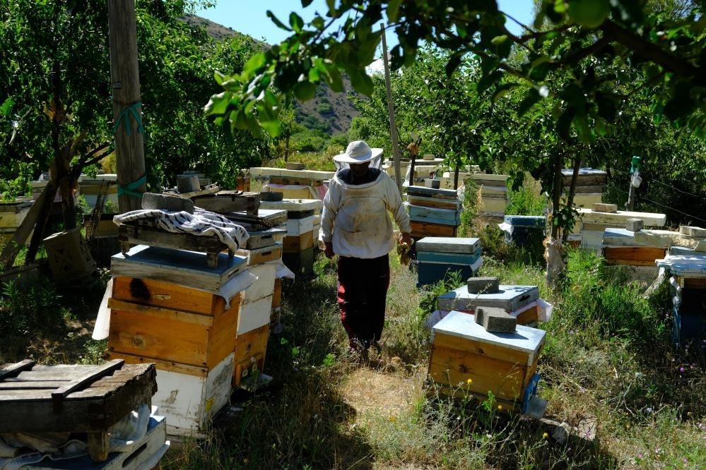 Arılar &ccedil;i&ccedil;eğin peşinde, arıcılar yayla yolunda