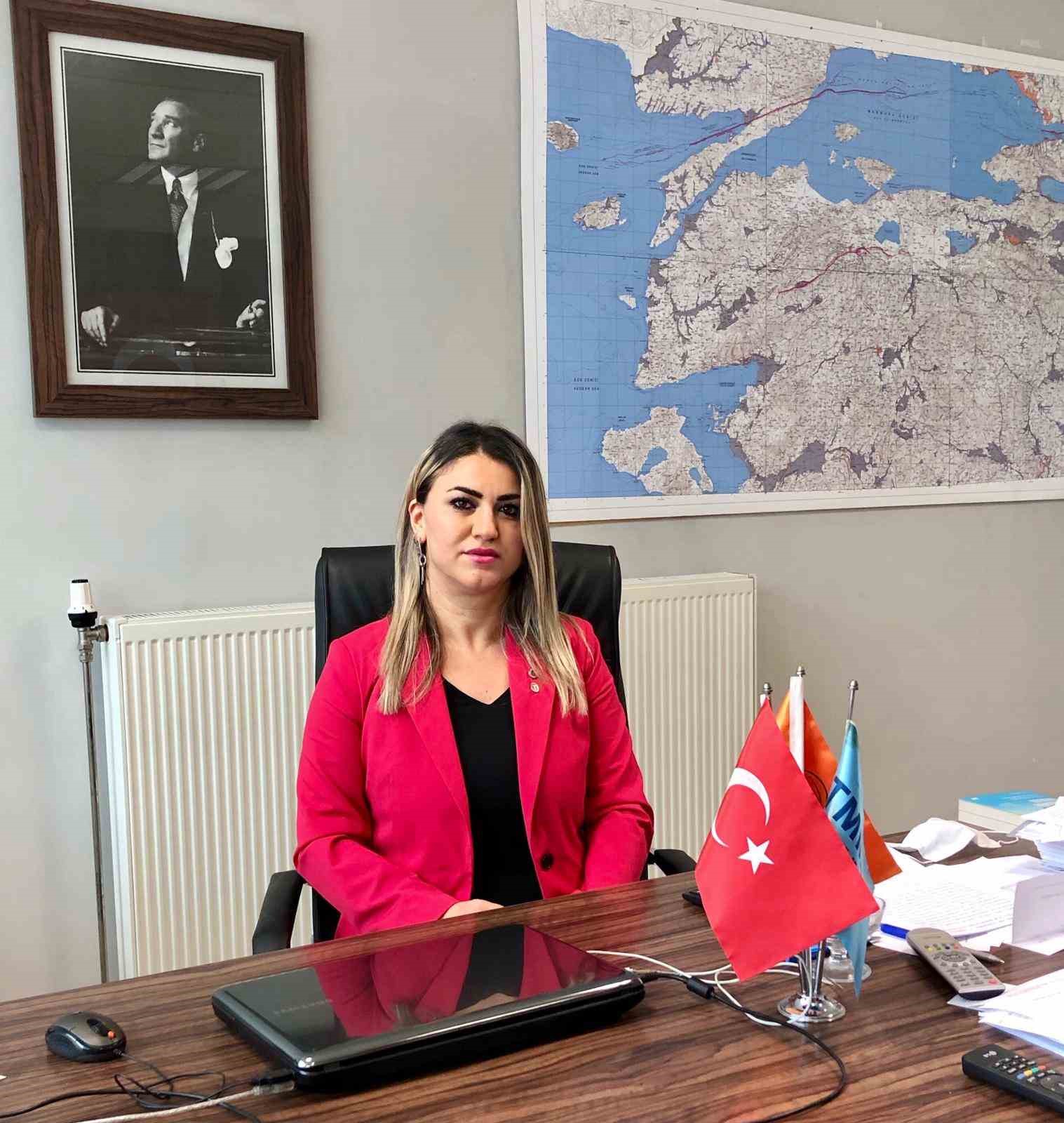 T&uuml;rkiye&rsquo;de 215 yeni diri fay keşfedildi