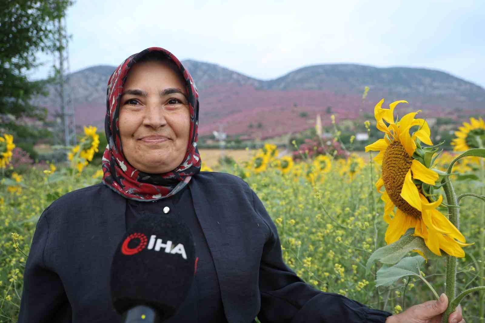 Kozan&rsquo;da dağlar pembeye, ova g&uuml;nebakanlarla sarıya b&uuml;r&uuml;nd&uuml;
