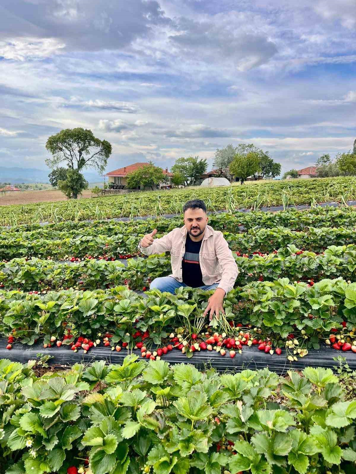Salihli&rsquo;nin organik &ccedil;ileği ilgi odağı oldu