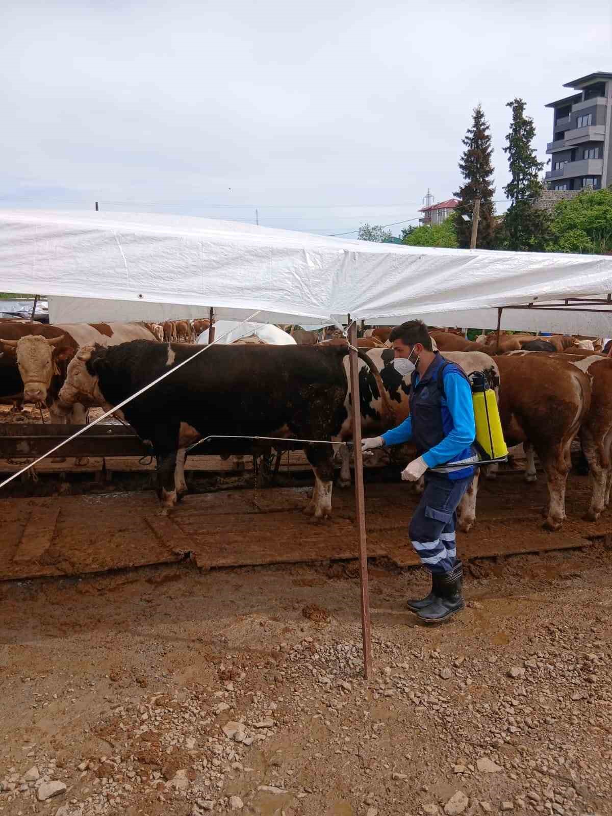 B&uuml;y&uuml;kşehir&rsquo;den kurban alanlarında hijyen seferberliği