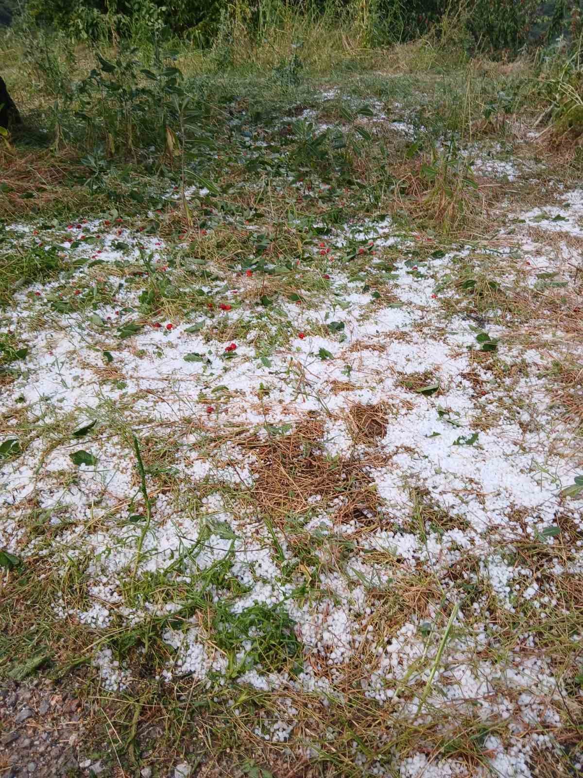 Aydın&rsquo;da dolu etkili oldu, ağa&ccedil;lar zarar g&ouml;rd&uuml;
