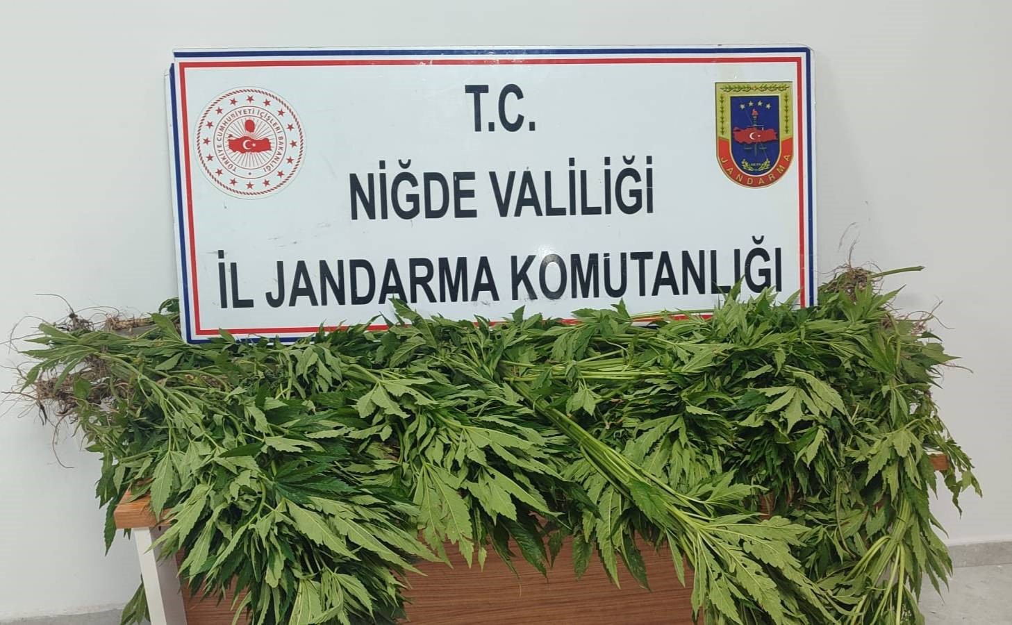 Tarlada ve evde arama yapıldı, uyuşturucu madde ele ge&ccedil;irildi