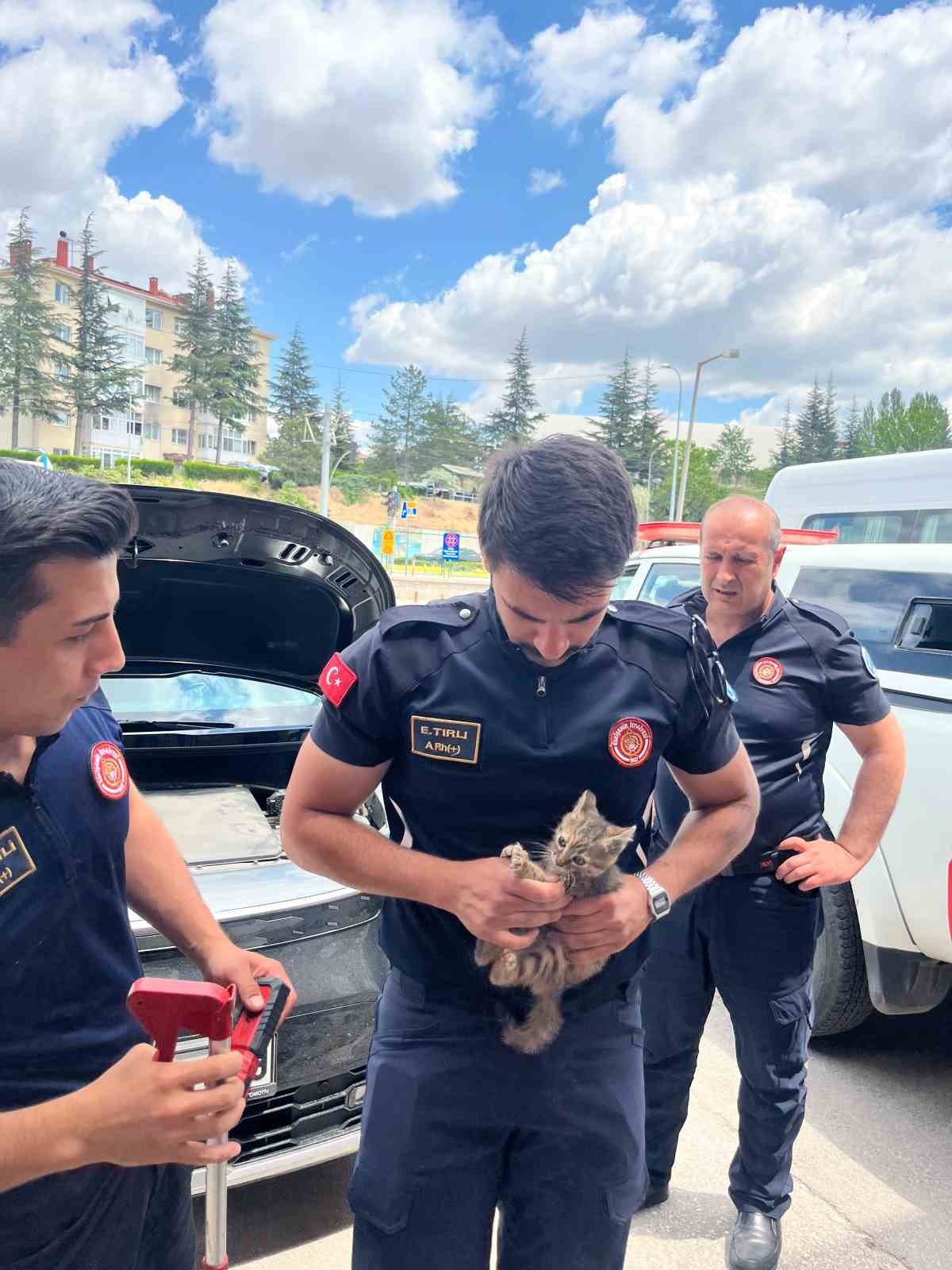 Eskişehir&rsquo;de motor b&ouml;l&uuml;m&uuml;ne sıkışan kediyi itfaiye ekipleri kurtardı
