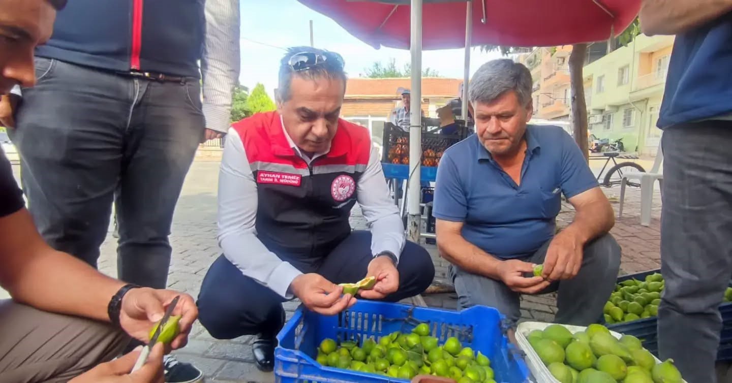 Aydın&rsquo;ın d&uuml;nya markası inciri i&ccedil;in sahada yoğun mesai