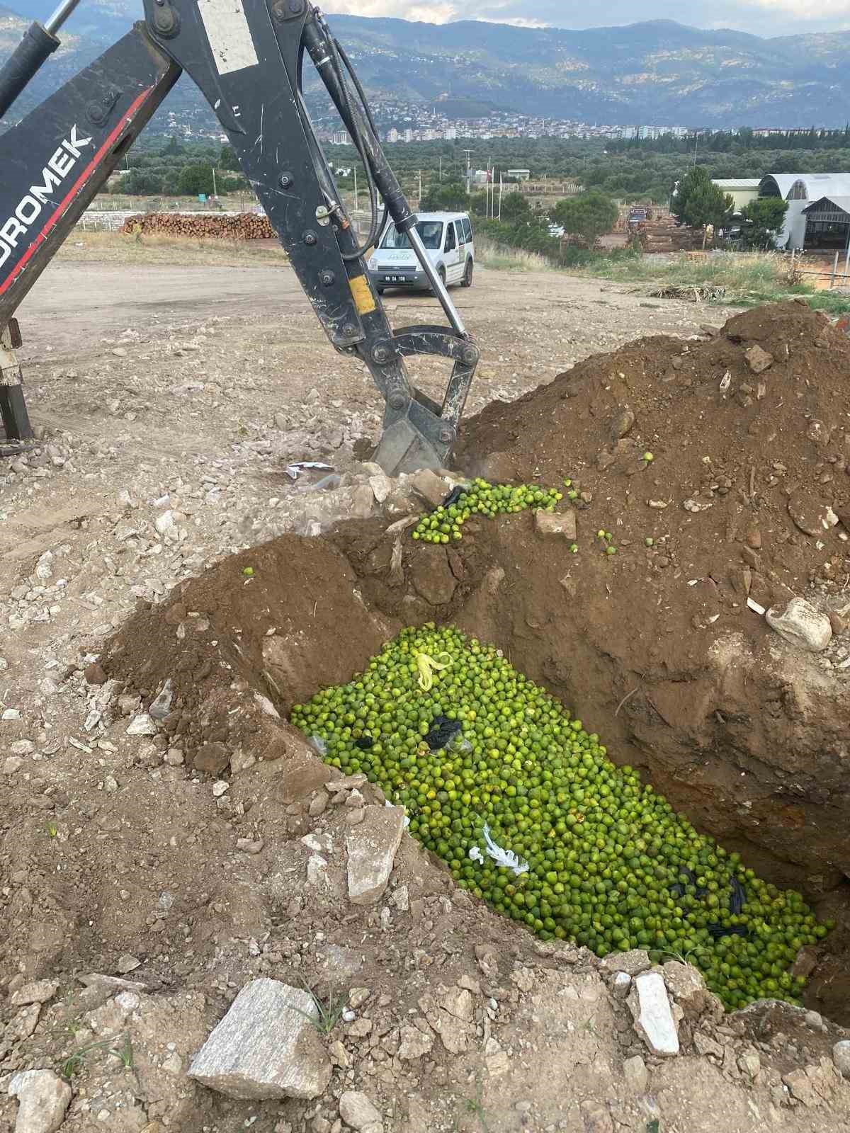 Bozdoğan&rsquo;da hastalıklı ilekler imha edildi