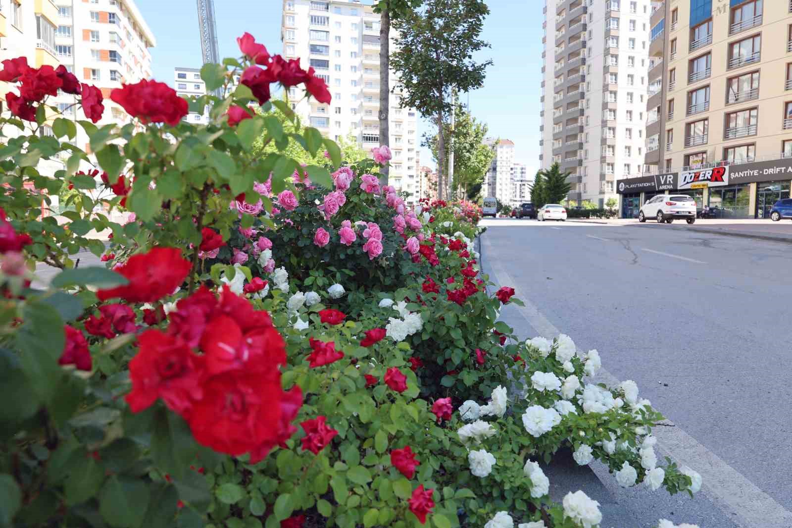 Talas&rsquo;ta &ccedil;i&ccedil;ek yılında sahne g&uuml;llerin