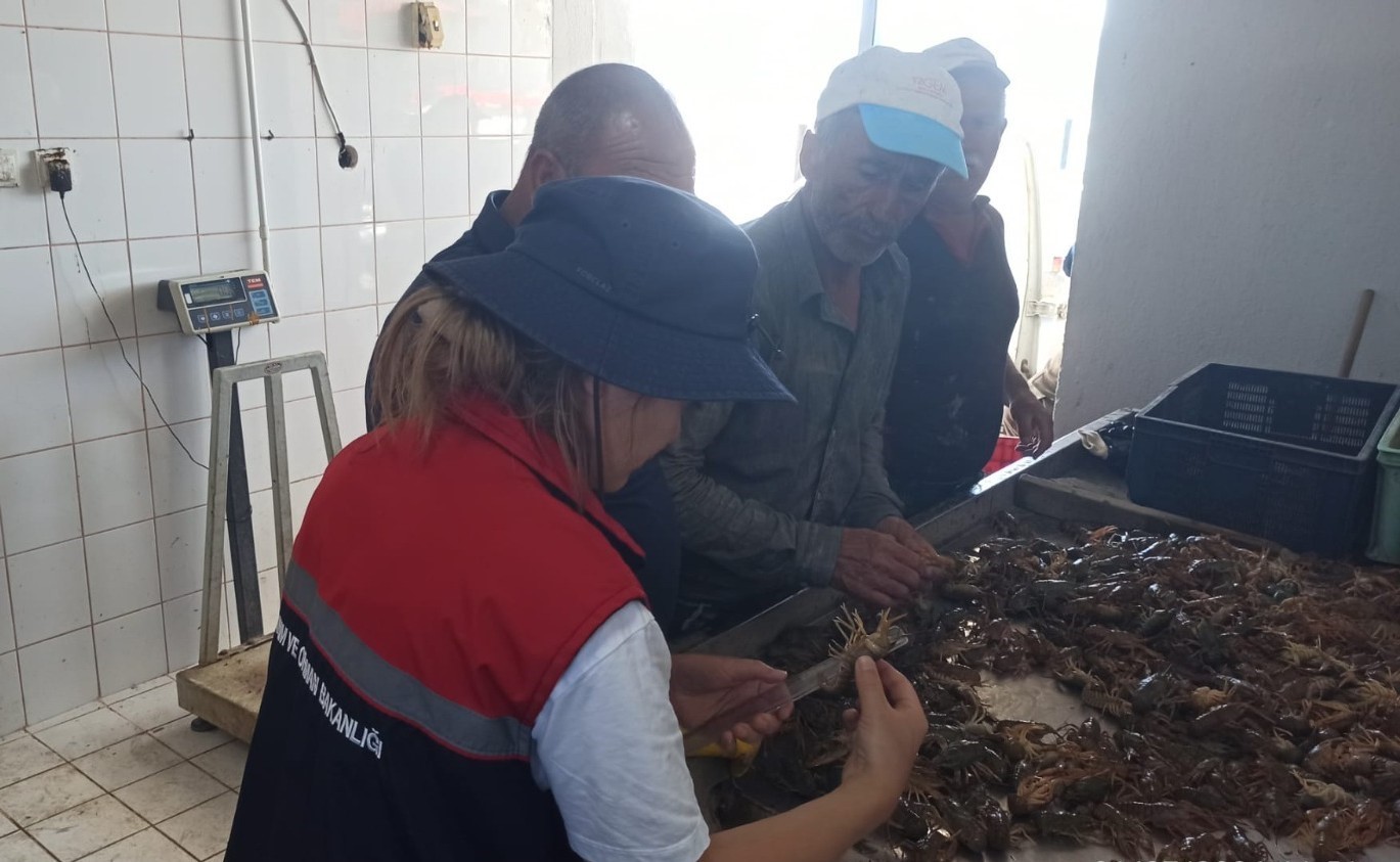 Eğirdir G&ouml;l&uuml;&rsquo;nde su &uuml;r&uuml;nleri denetimleri s&uuml;r&uuml;yor