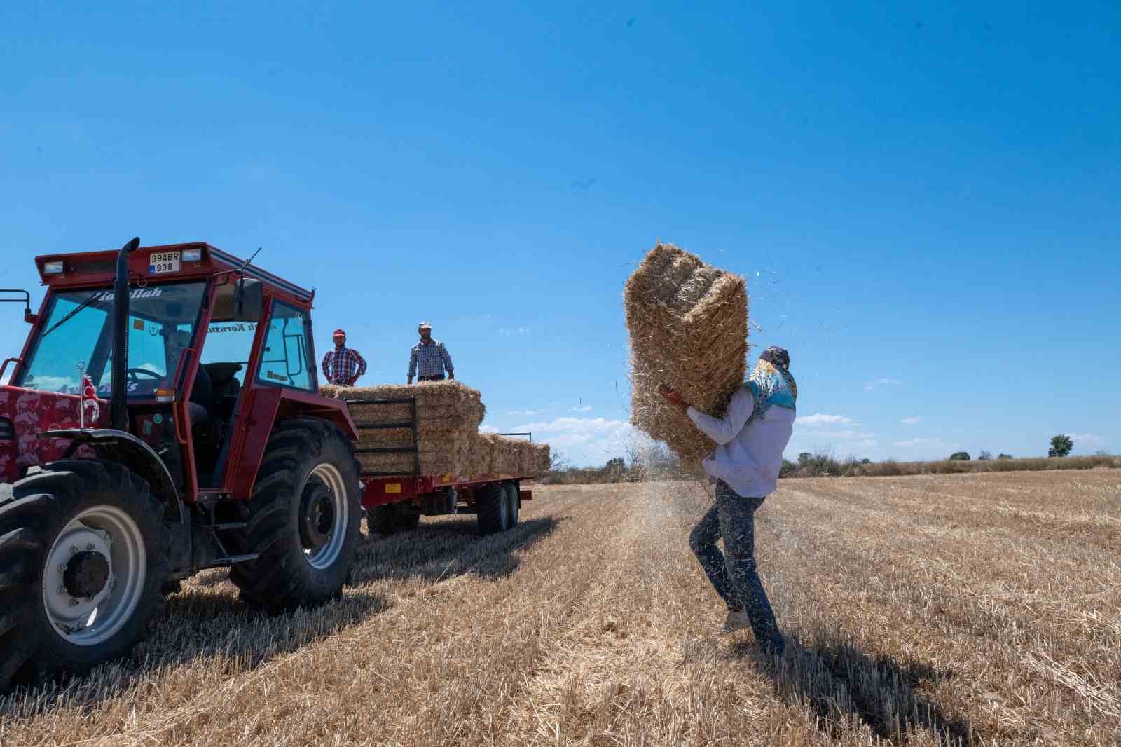 Kırklareli&rsquo;nde saman balyası mesaisi: G&uuml;nde 500 balya taşıyorlar