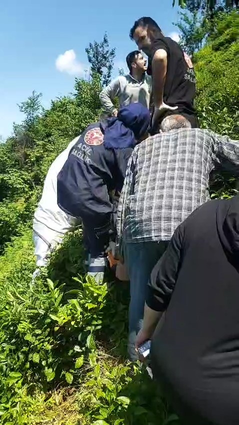 Kiraz toplamak i&ccedil;in &ccedil;ıktığı ağa&ccedil;tan d&uuml;şt&uuml;