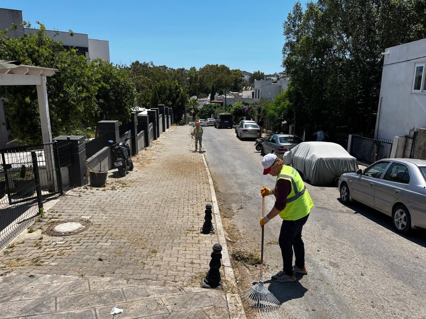 Bodrum&rsquo;da ot temizliği &ccedil;alışmaları t&uuml;m hızıyla devam ediyor