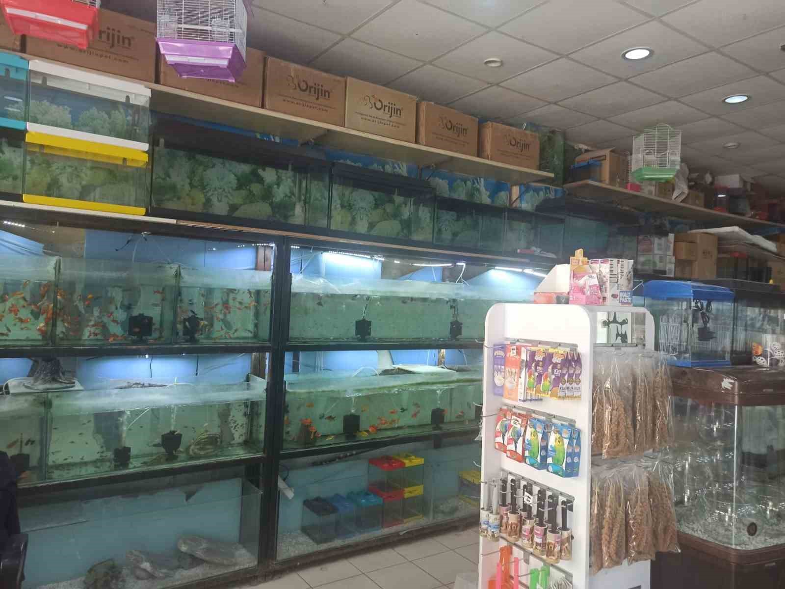 K&uuml;tahya&rsquo;da ev hayvanı satış yerlerinde denetim
