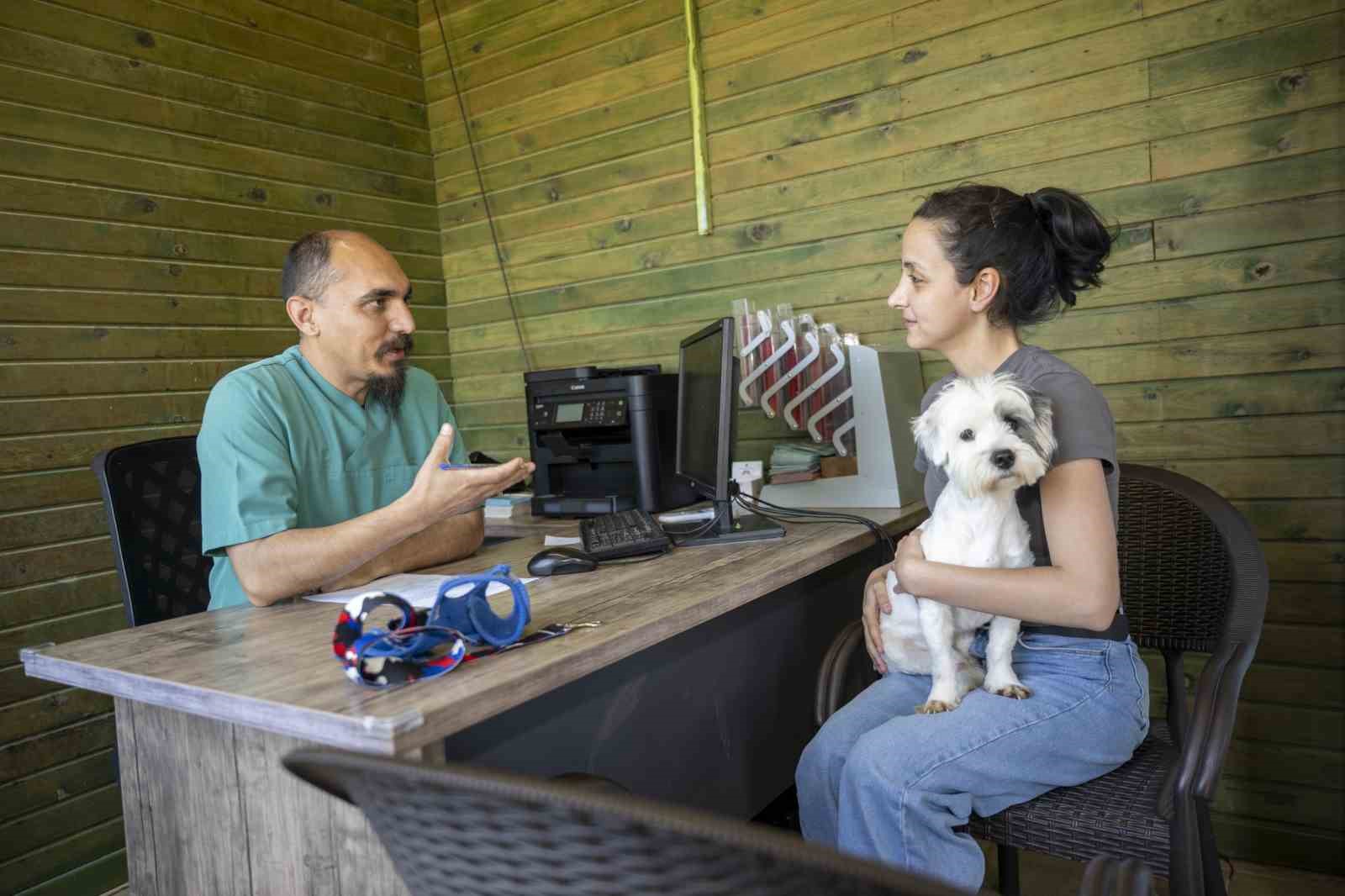 Mersin&rsquo;de sahiplendirme kampanyasıyla bin 927 k&ouml;pek yeni yuvasına kavuştu