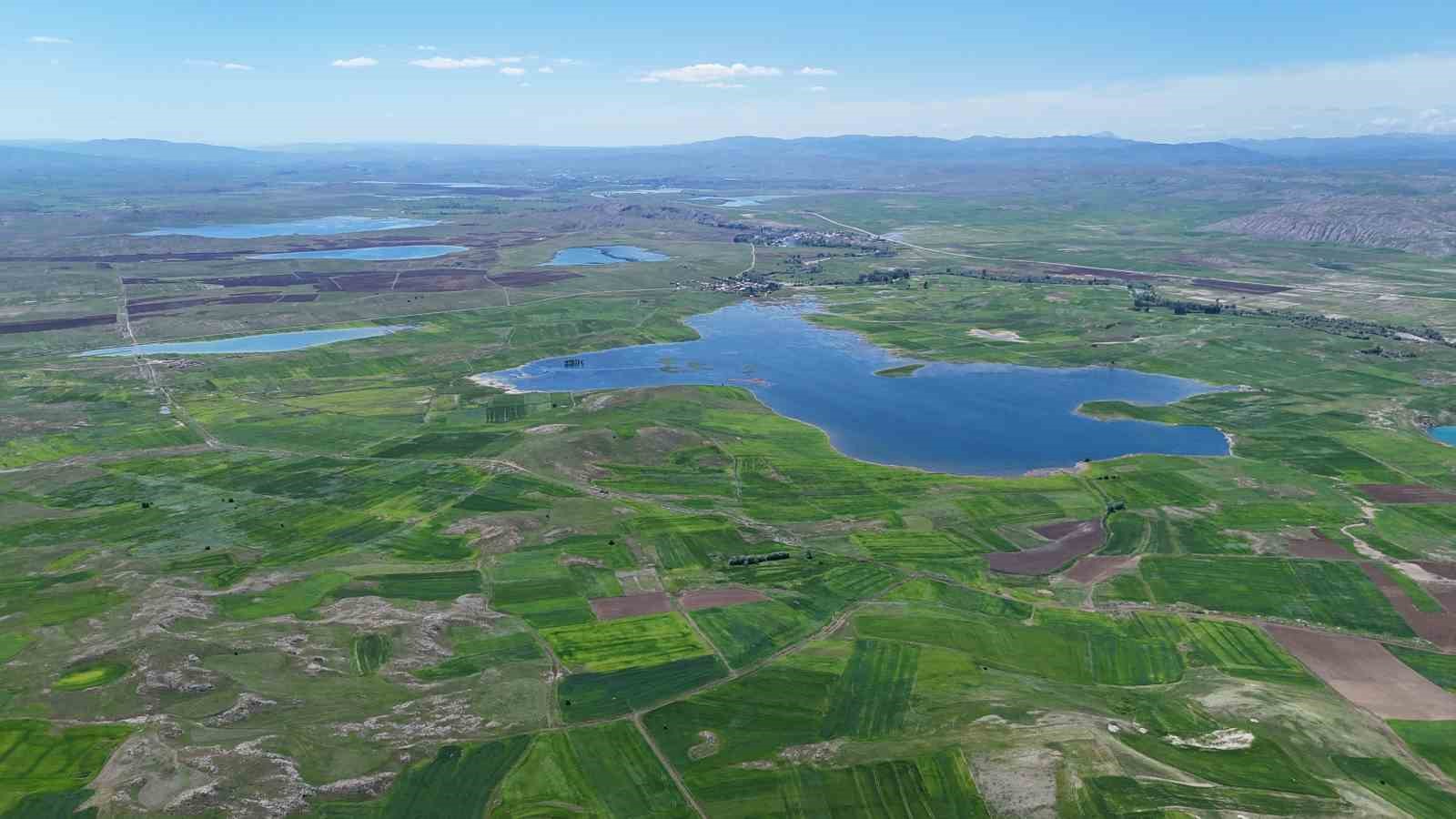 Binlerce d&ouml;n&uuml;m tarım arazisi sular altında kaldı, uzmanı gelecek yıllar i&ccedil;in &ccedil;ift&ccedil;ileri uyardı