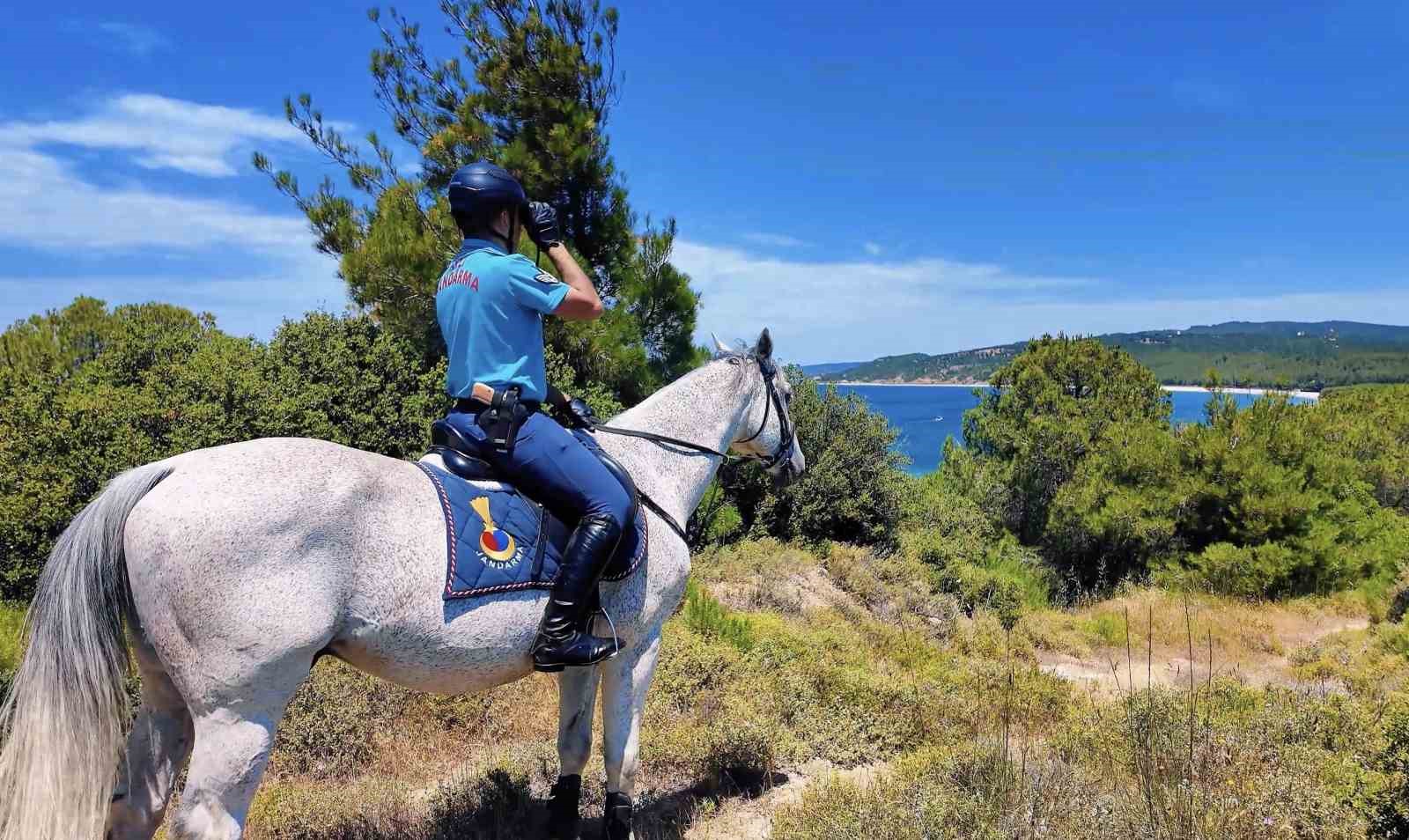 &Ccedil;anakkale&rsquo;de orman yangınlarına karşı jandarma ekipleri sahada