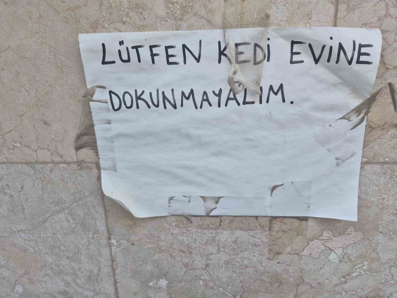 Kediler i&ccedil;in yaptığı evler i&ccedil;in vicdanlara seslendi, "L&uuml;tfen dokunmayalım"