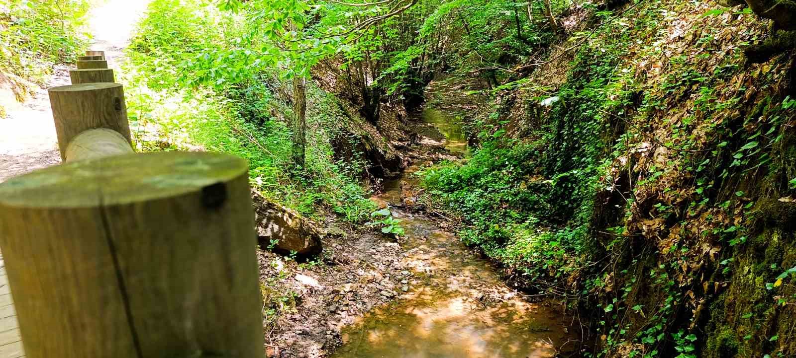 B&ouml;lgenin g&ouml;zde tabiat parkı ziyaret&ccedil;i akınına uğruyor