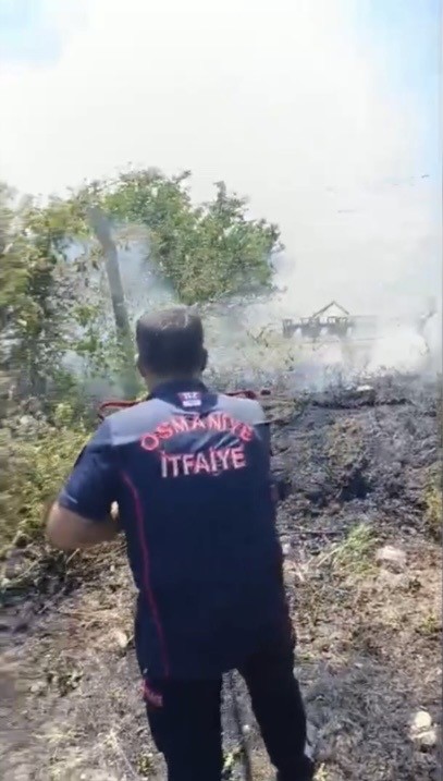 Osmaniye&rsquo;de anız yangını meyve bah&ccedil;elerine sı&ccedil;radı: 1 kişi hastanelik oldu