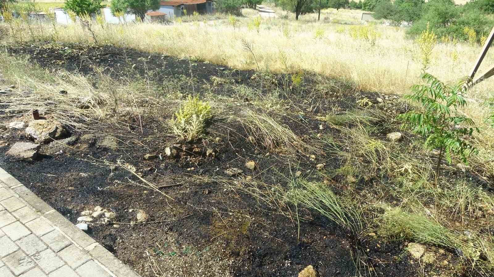 Menteşe&rsquo;de yol kenarına atılan sigara izmariti yangın &ccedil;ıkardı