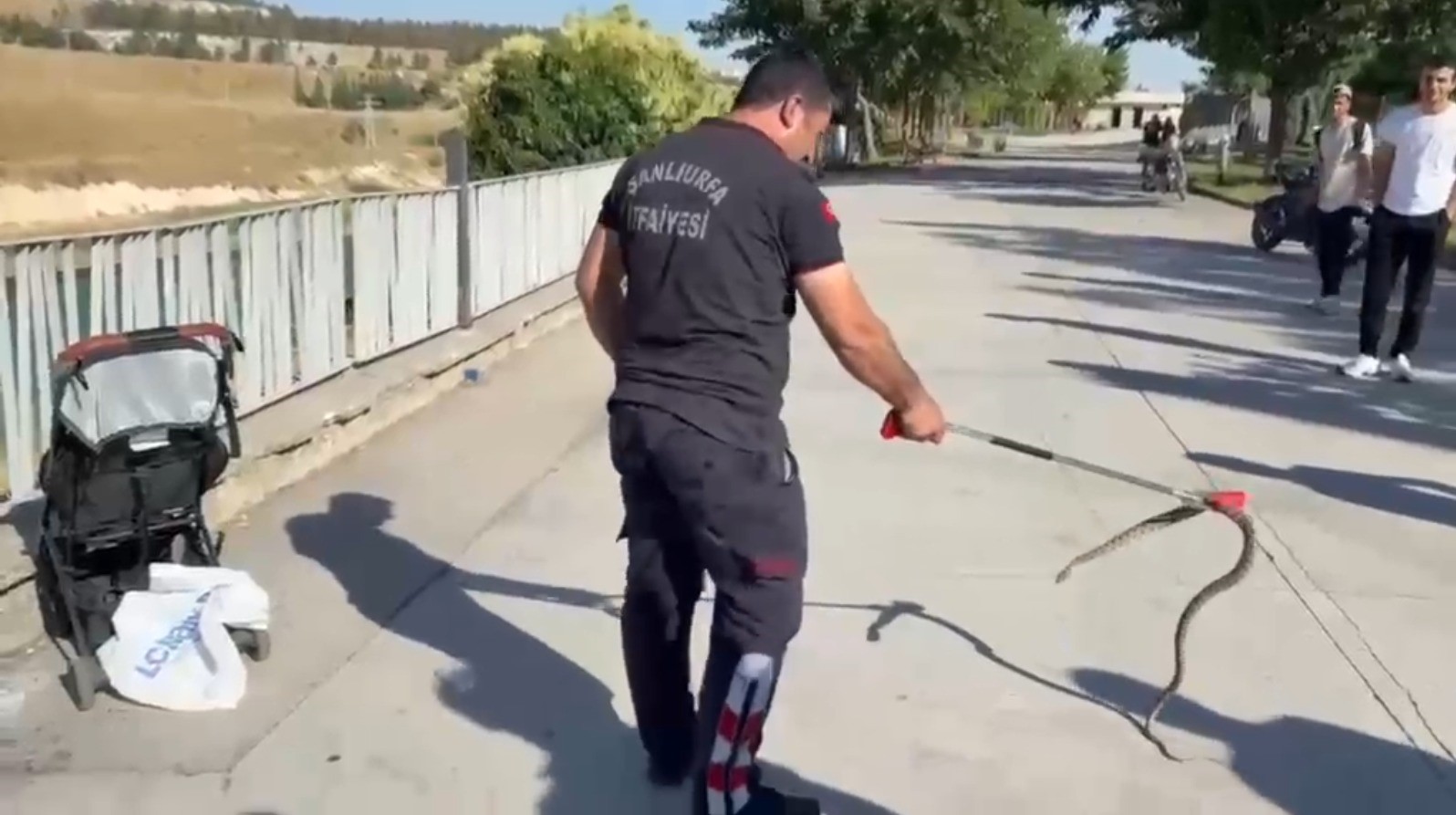 Şanlıurfa&rsquo;da ağa&ccedil;tan bebek arabasına yılan d&uuml;şt&uuml;