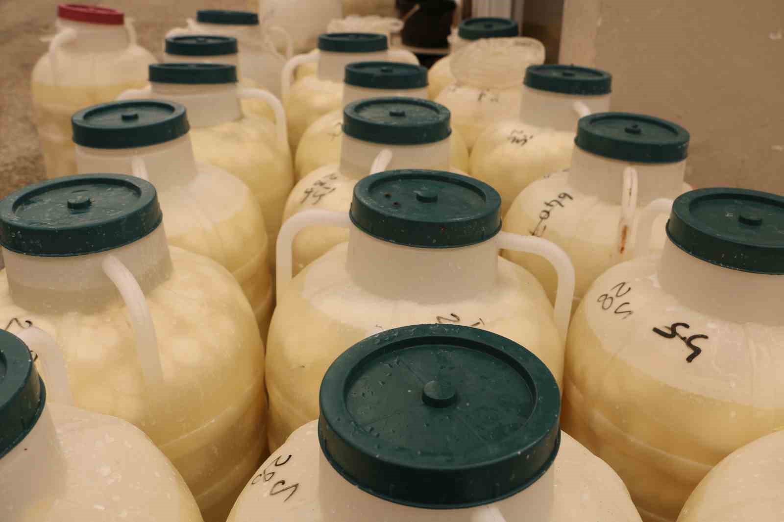 Diyarbakır&rsquo;da kışlık peynir mesaisi başladı