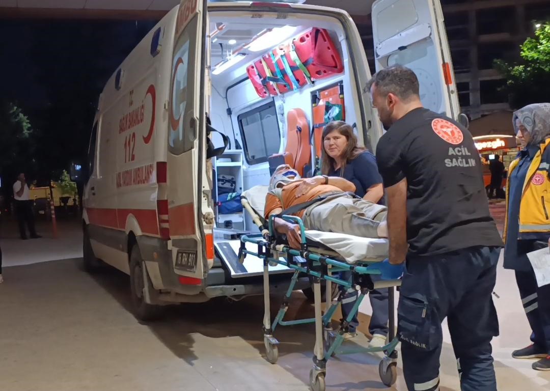 Erik toplamak i&ccedil;in &ccedil;ıktığı ağa&ccedil;tan d&uuml;şerek yaralandı