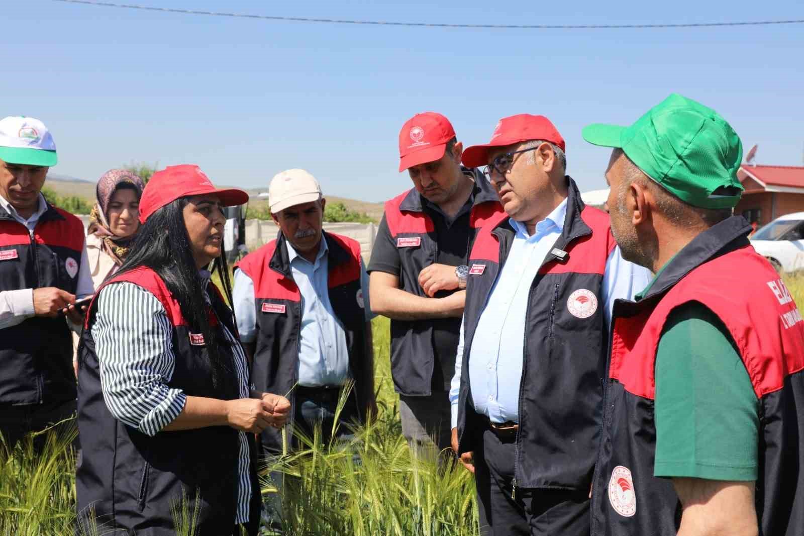 Elazığ&rsquo;da s&uuml;ne s&uuml;rveyi ve CBS &ccedil;alışmaları sahada değerlendirildi