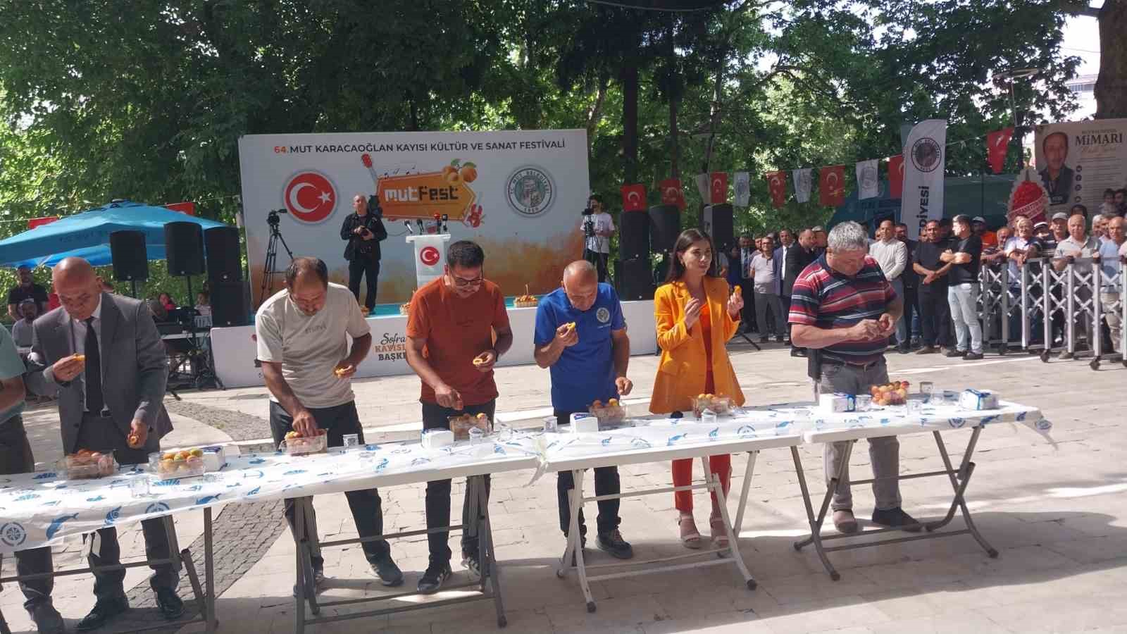 Mut&rsquo;ta 64. Karacaoğlan ve Kayısı Festivali coşkuyla başladı