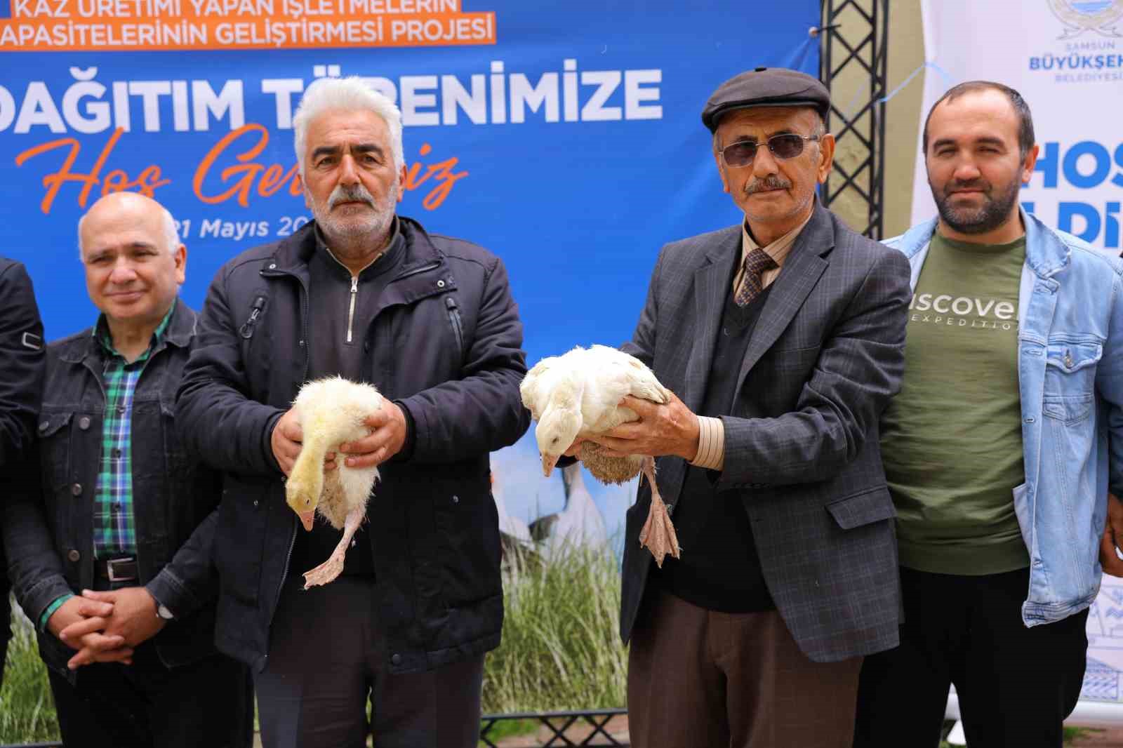 Samsun&rsquo;da &uuml;reticiye y&uuml;zde 50 hibeli kaz palazı desteği