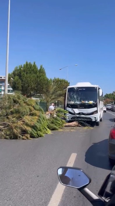 Alanya’da alkollü sürücünün kullandığı midibüs refüjü aşıp karşı şeride geçti