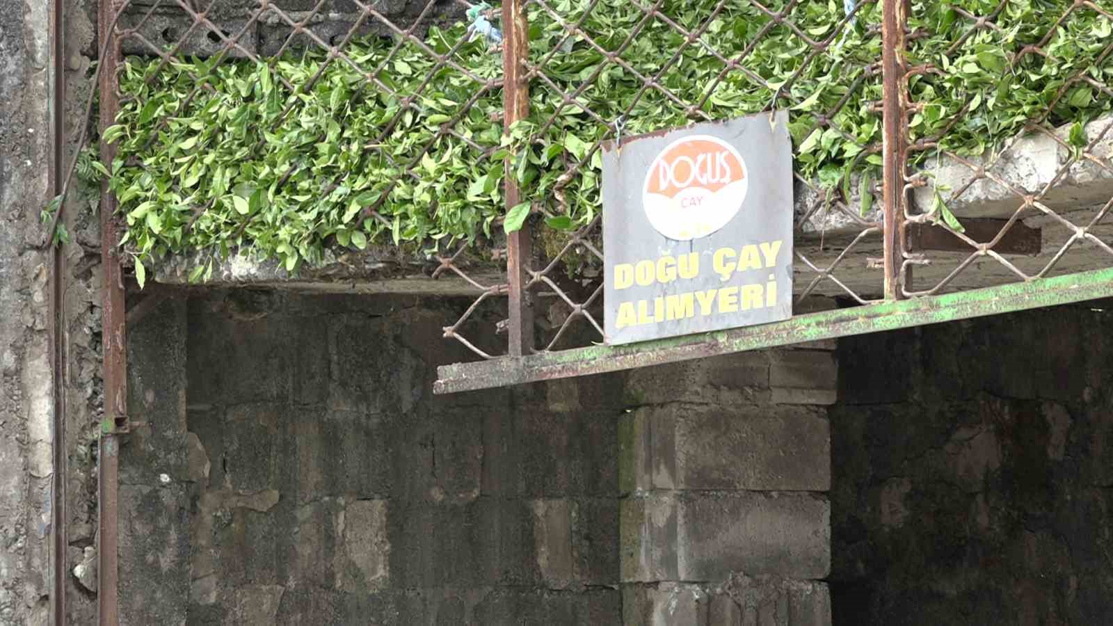 &Ccedil;ay &uuml;reticisinden &ouml;zel sekt&ouml;re fiyat tepkisi